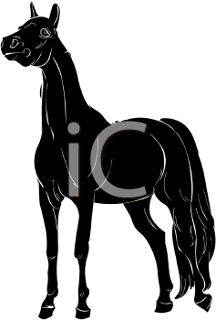 Horse Clipart