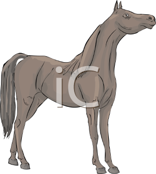 Horse Clipart