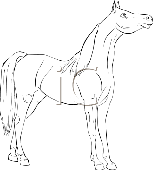 Horse Clipart