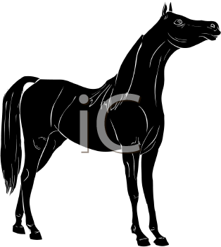 Horse Clipart