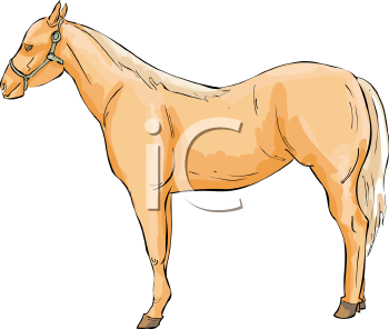 Horse Clipart