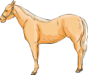 Horse Clipart