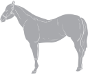 Horse Clipart