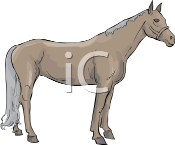 Horse Clipart