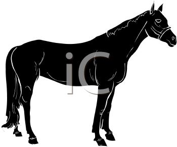 Horse Clipart