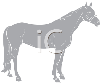 Horse Clipart