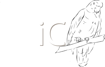 Bird Clipart