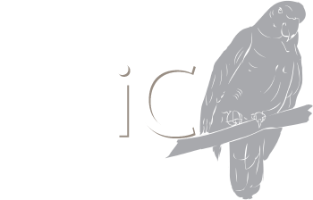 Bird Clipart