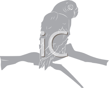 Bird Clipart
