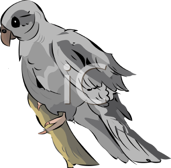Bird Clipart