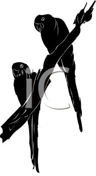 Bird Clipart