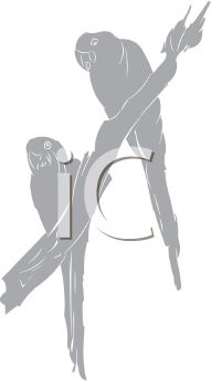 Bird Clipart