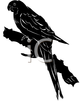 Bird Clipart