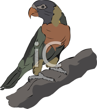 Bird Clipart