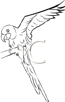 Bird Clipart