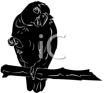 Bird Clipart