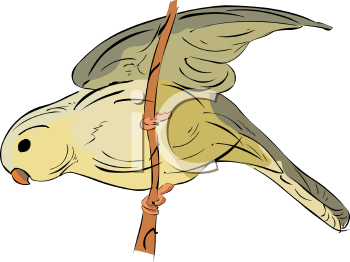 Bird Clipart