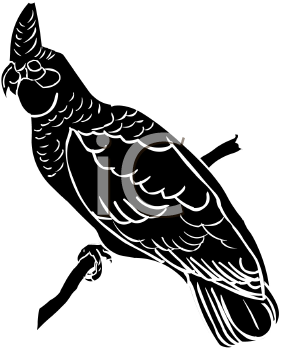 Bird Clipart