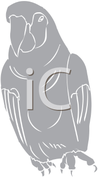 Bird Clipart