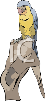 Bird Clipart