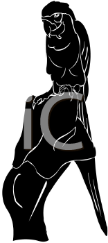 Bird Clipart