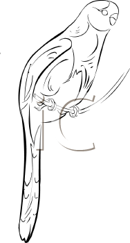 Bird Clipart