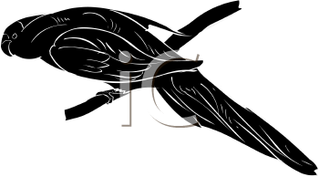 Bird Clipart