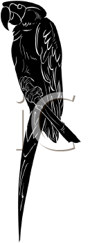 Bird Clipart