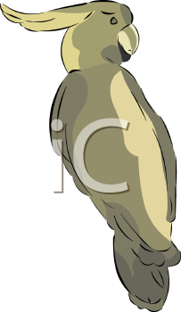 Bird Clipart