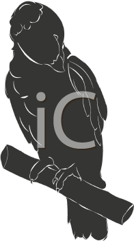 Bird Clipart