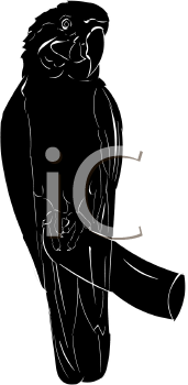 Bird Clipart