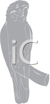 Bird Clipart