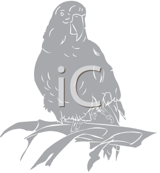 Bird Clipart