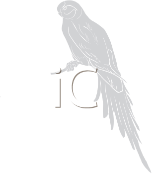 Bird Clipart