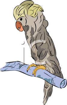 Bird Clipart
