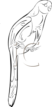 Bird Clipart