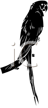 Bird Clipart