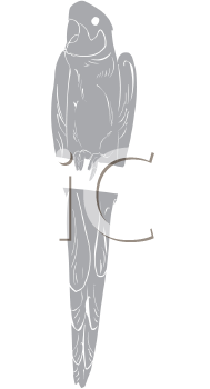 Bird Clipart