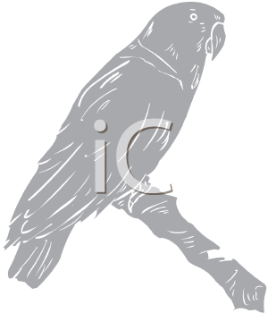 Bird Clipart