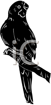 Bird Clipart