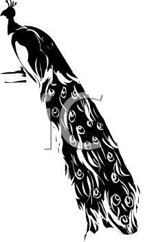 Bird Clipart