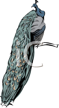Bird Clipart