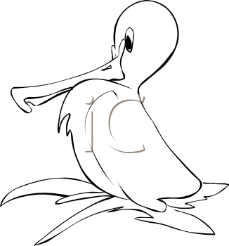 Bird Clipart