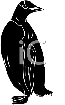Bird Clipart