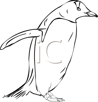 Bird Clipart