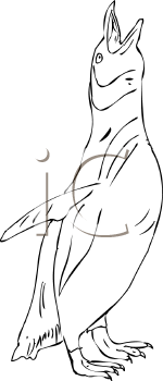 Bird Clipart