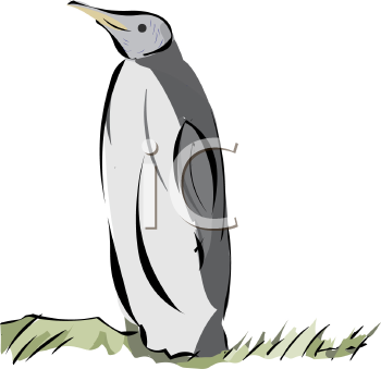 Bird Clipart