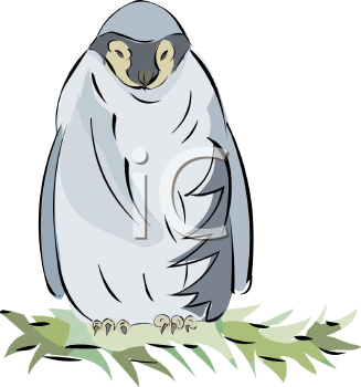 Bird Clipart