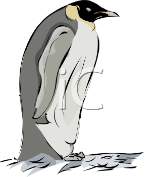 Bird Clipart