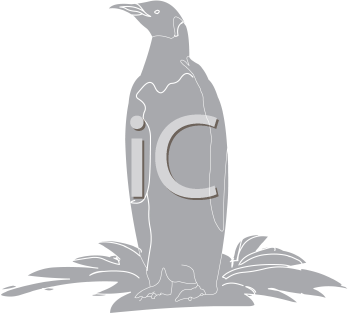 Bird Clipart